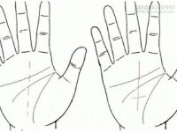 Nghiền ngẫm chỉ tay xem thời cơ chuyển vận cực chuẩn