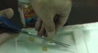 Nguyên Cục trưởng trực tiếp bẻ viên dầu cá Omega-3 để thử nghiệm: Kết quả bất ngờ!