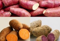 Càng ăn càng tụt cân nặng – Giảm cân, béo bụng siêu đơn giản