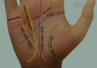 Đường hôn nhân nói gì về tuổi kết hôn, con cái sau này của bạn?