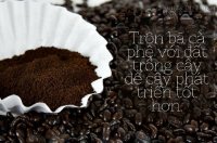 Cách tái sử dụng bã cà phê vô cùng hữu ích