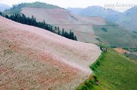 Các địa danh đẹp và lạ nên đến trong năm 2016