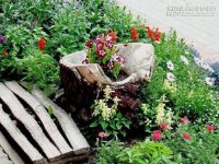 Kết hợp gốc cây trong trang trí sân vườn