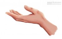 Xem tướng tay luận đoán đường xuất ngoại