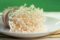 Cách trồng nấm kim châm sạch tại nhà cực nhanh và dễ