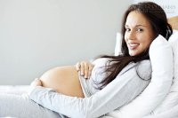 Củ tam thất bắc và 9 câu hỏi được quan tâm nhất