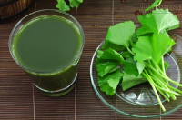 Uống nước rau má mỗi ngày, bạn được lợi gì?