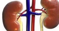 Hãy cứu thận ngay nếu đêm đang ngủ mà có dấu hiệu này
