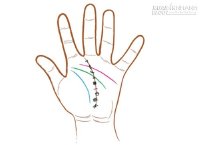 Dự đoán tương lai giàu nghèo qua những đường vân đặc biệt trong bàn tay