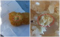 Khóc thét khi thưởng thức món gà KFC yêu thích vì sự thật dưới lớp da gà