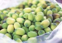 Món ăn thuốc từ hạt sen