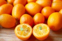 Ăn 4 loại thực phẩm này vào buổi sáng bạn sẽ không còn sợ hôi miệng nữa