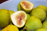 Vị thuốc trị đủ loại bệnh dạ dày ít ai ngờ lại có nhiều ở Việt Nam