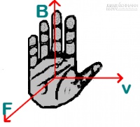 Xem bói lòng bàn tay để biết vận mệnh và sức khỏe