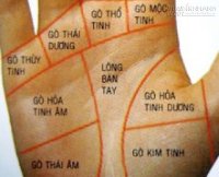 Xem bói tay qua các gò trên bàn tay