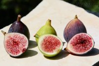 Viêm họng, ho khang hoài không hết, hãy thử bài thuốc rẻ tiền này
