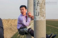 Dở khóc dở cười chú rể bị trói vào cột điện trên đường rước dâu
