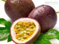 Ngừa ung thư từ thảo dược thiên nhiên