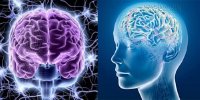 Giới hạn mới của não: đủ sức chứa đủ tất cả trang web trên hành tinh