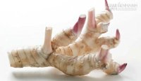 Loại gia vị thần thánh giúp chữa bách bệnh từ ngàn xưa