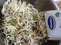 Cách làm giá đỗ tại nhà bằng hộp sữa tươi cực kỳ đơn giản