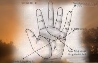 Xem tướng bàn tay của người rất thích hợp kinh doanh buôn bán