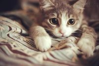 6 món không nên tặng nhau vào ngày Tết