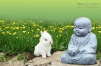 Hóa ra mọi thứ vẫn luôn ở đó, chỉ có tâm hồn lạc lối trong u mê