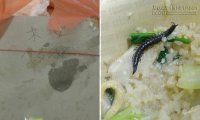 Người phụ nữ ước gì cô ấy đã không ăn suất cơm sau khi thấy thứ này