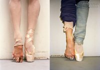 Bàng hoàng trước sự thật những con thiên nga mang đôi bàn chân của quỷ dữ