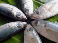 Nhìn mắt cá, mang cá là biết tươi hay không
