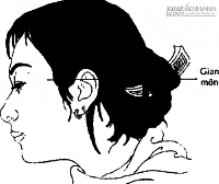 Xem tướng mặt đàn ông góa vợ