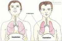 Bài tập thở để đời giúp sống thọ, sống khỏe