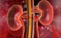 9 cách dưỡng thận hàng ngày để sống thọ ai cũng làm được