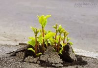 Những Bức Ảnh Xem Xong, Bạn Không Còn Lý Do Để Tuyệt Vọng Nữa