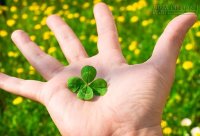 Đặc điểm khiến bạn trở thành người may mắn