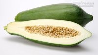 Đu đủ chính là thuốc tránh thai hàng ngày