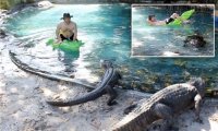 Đứng tim với người đàn ông liều lĩnh thư giãn trong… hồ cá sấu