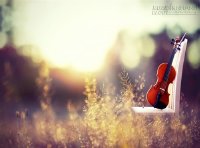 Tử vi 12 Con giáp chủ nhật ngày 31/01/2016