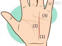 Xem bói chỉ tay để chọn lựa được người đàn ông tốt