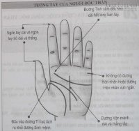 Xem bói chỉ tay để biết bạn có lựa chọn cuộc sống độc thân hay không?