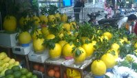 Bòng khổng lồ giá 1,5 triệu đắt khách dịp Tết