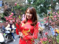 Dự báo thời tiết dịp Tết Bính Thân 2016