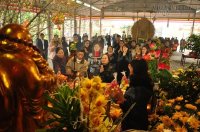 Những điều kiêng kỵ đi chùa hái lộc đầu xuân