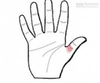 Khám phá 4 đường chỉ tay đặc biệt không phải ai cũng có