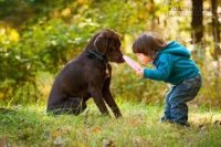 8 câu chuyện ngắn khiến bạn cười xong lại ngẫm