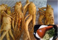 Bài thuốc trời, đất và người dành cho Xuân