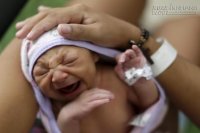 Cách đơn giản để bảo vệ mình khỏi virus Zika, bảo vệ con khỏi bệnh đầu nhỏ