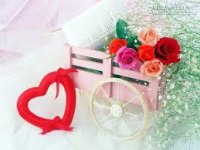 Tử vi 12 Con giáp chủ nhật ngày 07/02/2016