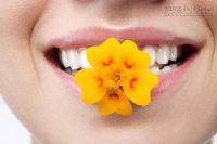 Đại kỵ không thể không biết khi phạm Thái Tuế năm Bính Thân